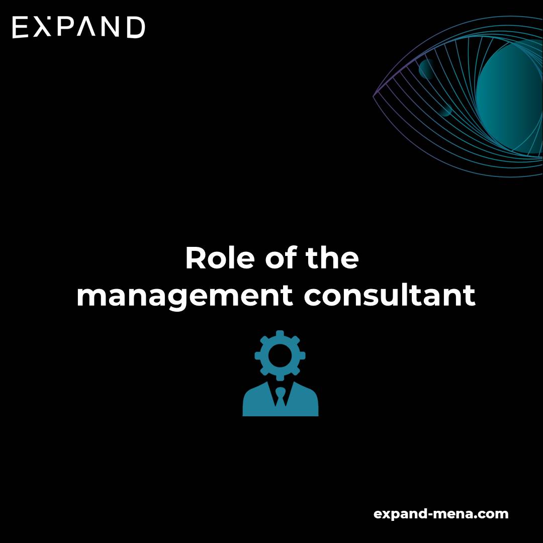 What is the role of the management consultant